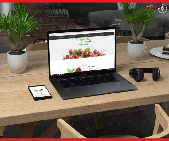 web tasarım pd11